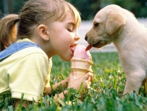 dekle poje sladoled s psom in se okuži s paraziti